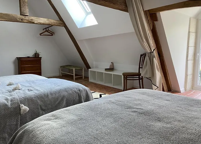 Gîte de charme Tellement Bien proche zoo de Beauval et châteaux de la Loire